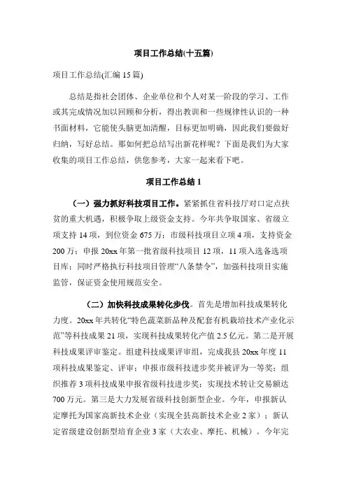 项目工作总结(十五篇)