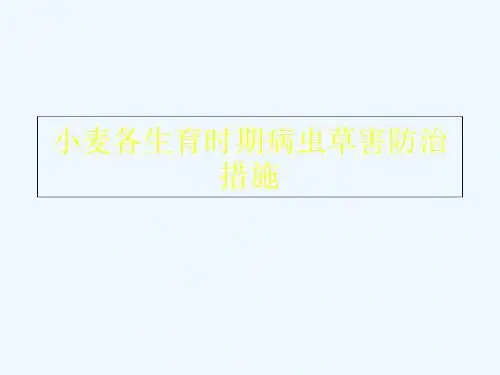小麦各生育时期病虫草害防治措施