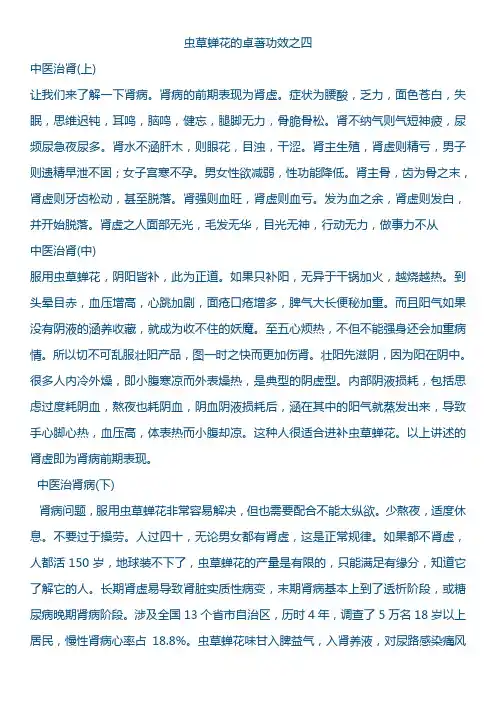 虫草金蝉花的卓著功效之四