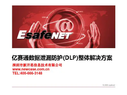 亿赛通数据泄漏防护(DLP)整体解决方案V12