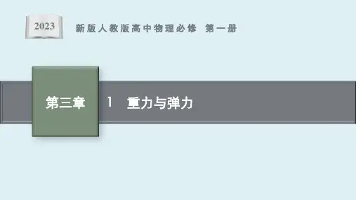 《重力与弹力》课件ppt