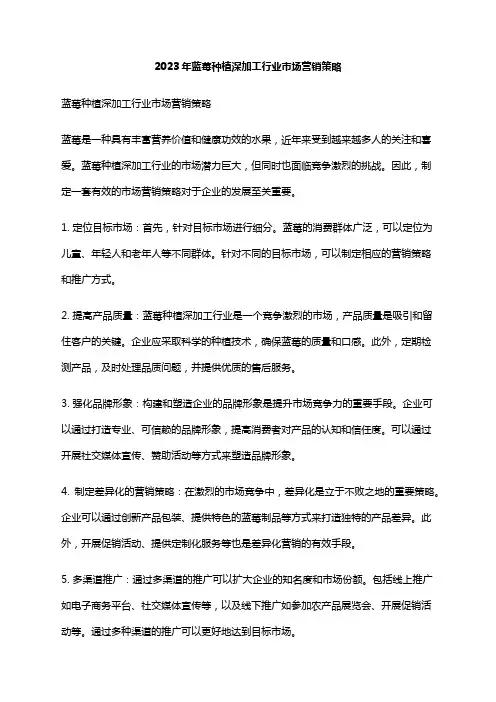 2023年蓝莓种植深加工行业市场营销策略