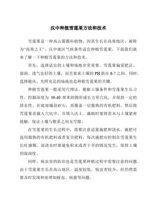 汉中种植雪莲果方法和技术