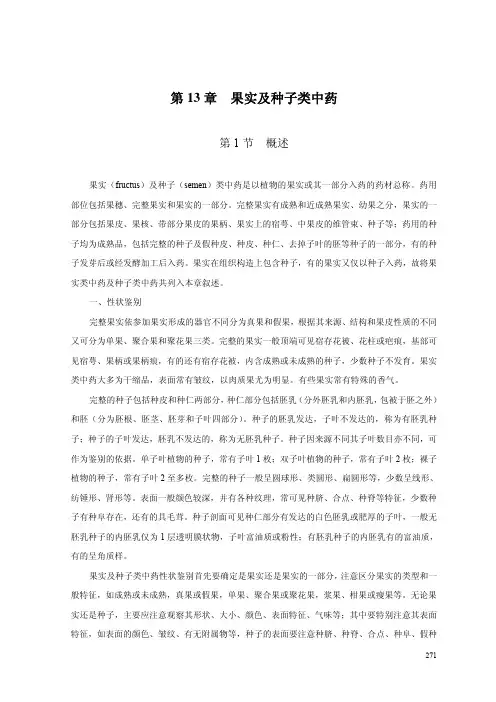 果实及种子类中药
