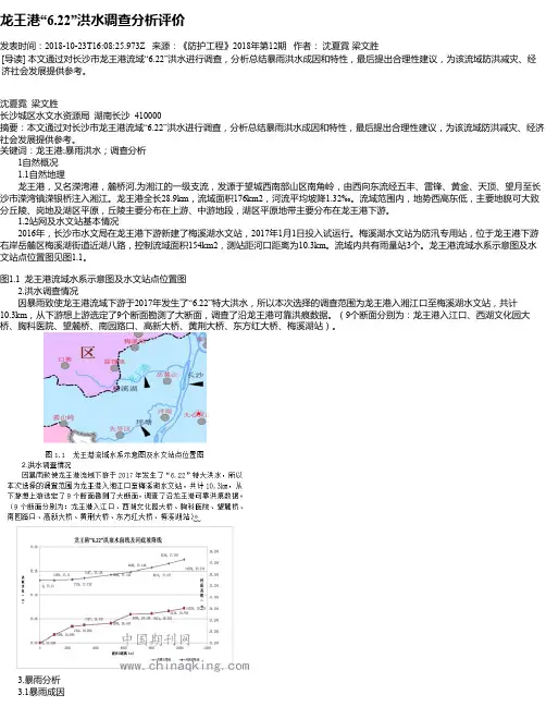 龙王港“6.22”洪水调查分析评价