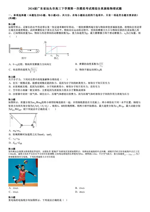 2024届广东省汕头市高三下学期第一次模拟考试理综全真演练物理试题