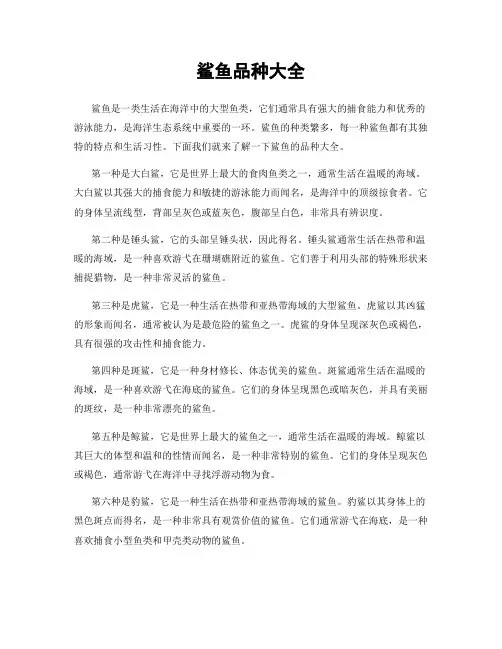 鲨鱼品种大全