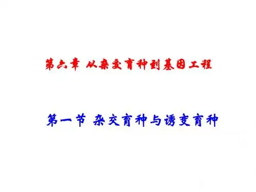 生物：6.1《杂交育种与诱变育种》PPT课件