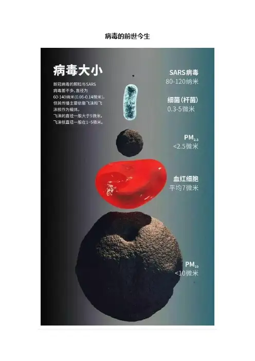病毒的前世今生