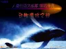 必修3.12 动物游戏之谜