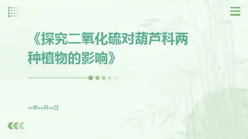 探究二氧化硫对葫芦科两种植物的影响