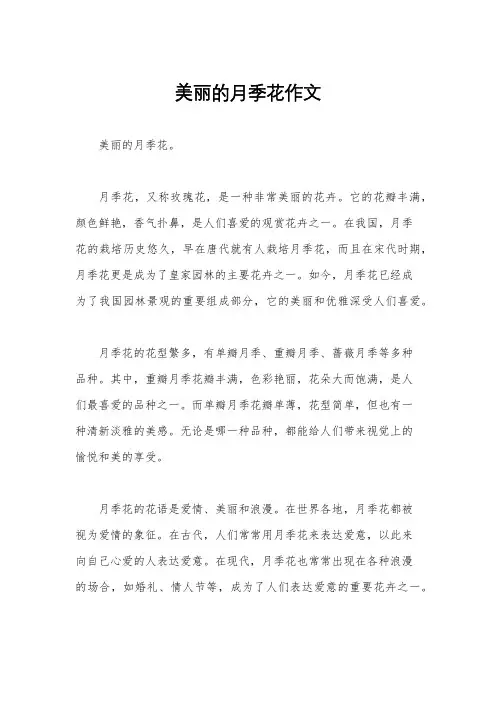 美丽的月季花作文
