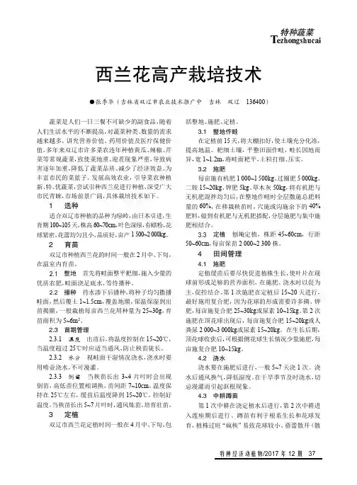 西兰花高产栽培技术