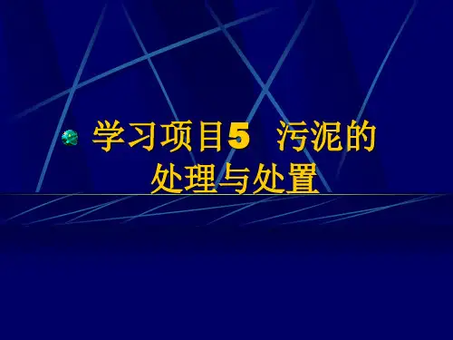 污泥的处理与处置