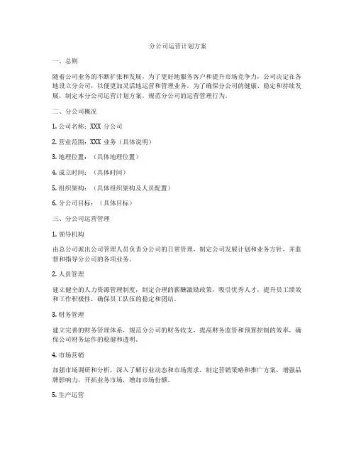 分公司运营计划方案