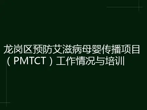 预防艾滋病母婴传播项目PPT课件