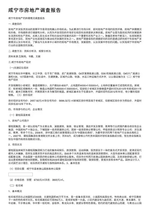 咸宁市房地产调查报告