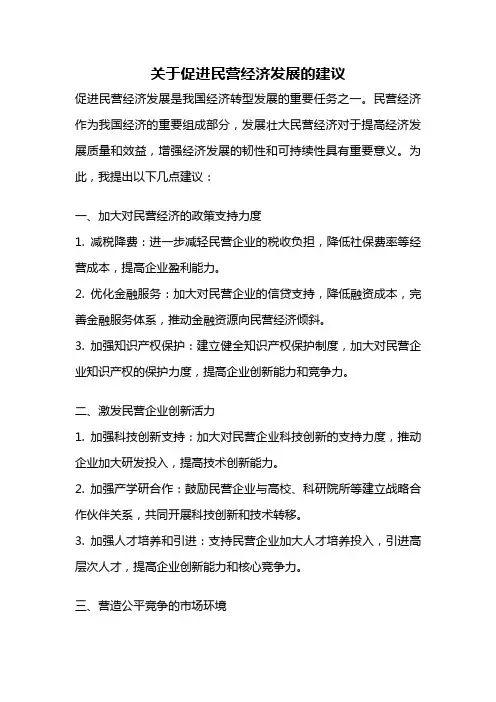 关于促进民营经济发展的建议