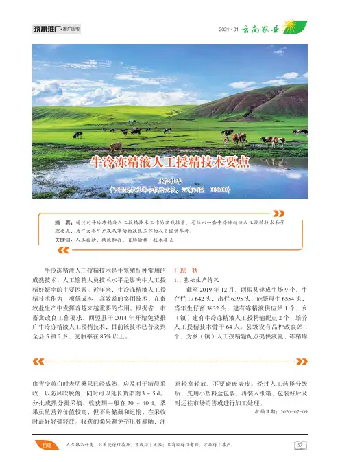 牛冷冻精液人工授精技术要点