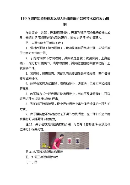 打乒乓球你知道身体怎么发力吗动图解析各种技术动作发力机制