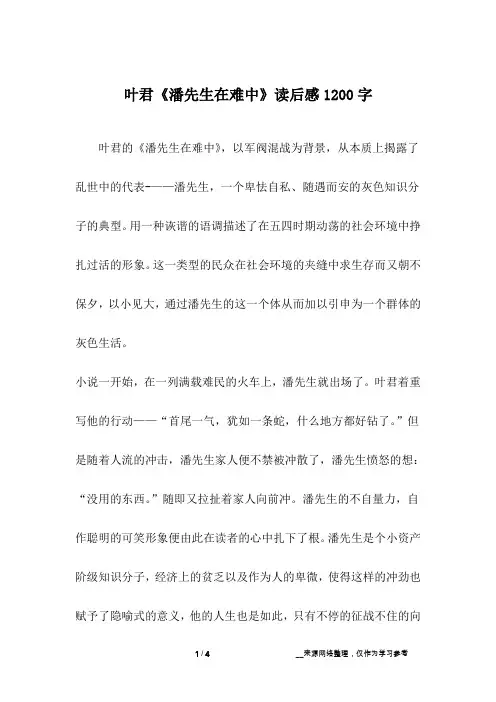叶君《潘先生在难中》读后感1200字