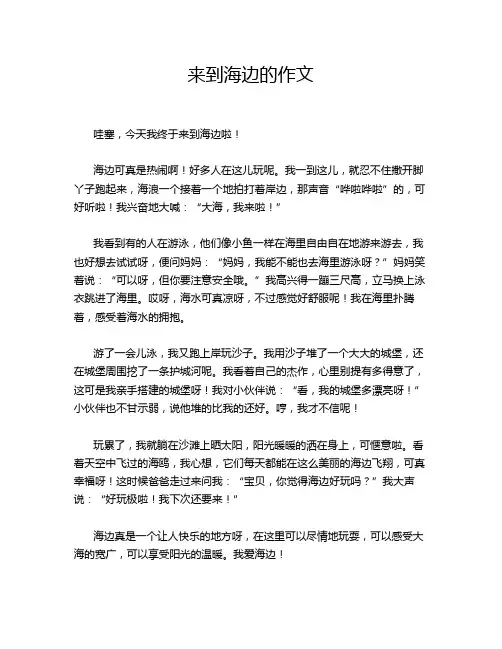 来到海边的作文