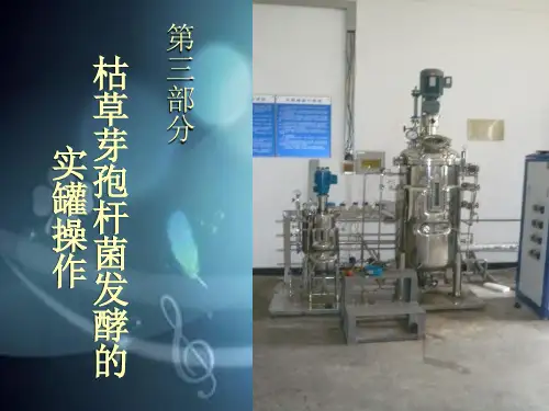 枯草芽孢杆菌发酵的实罐操作