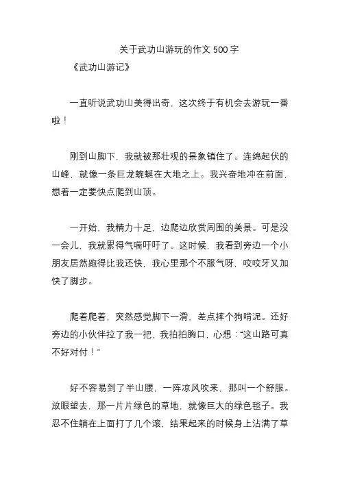 关于武功山游玩的作文500字