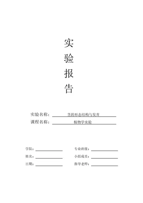 植物学实验报告—茎的形态结构与发育