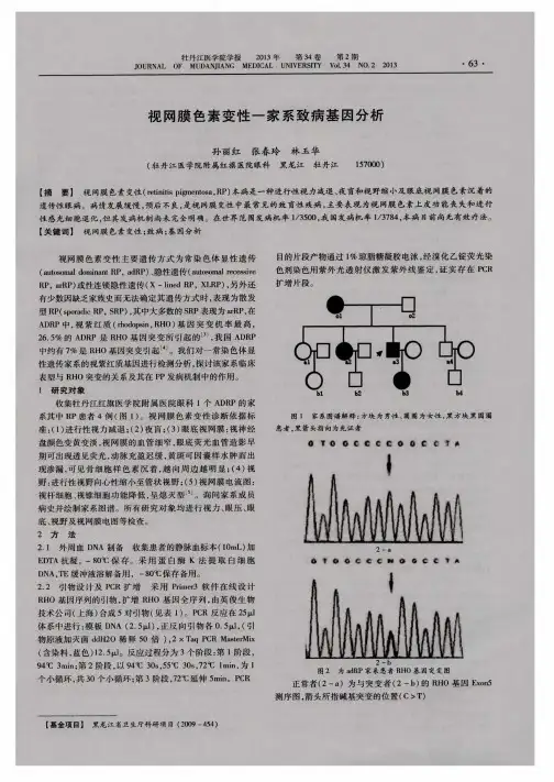 视网膜色素变性一家系致病基因分析