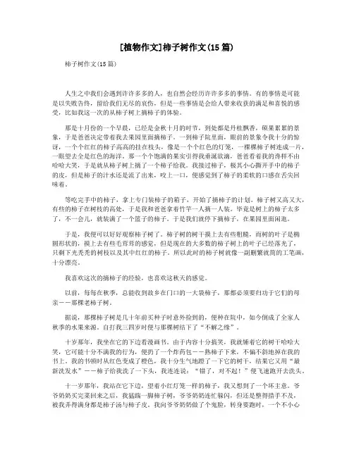 [植物作文]柿子树作文(15篇)