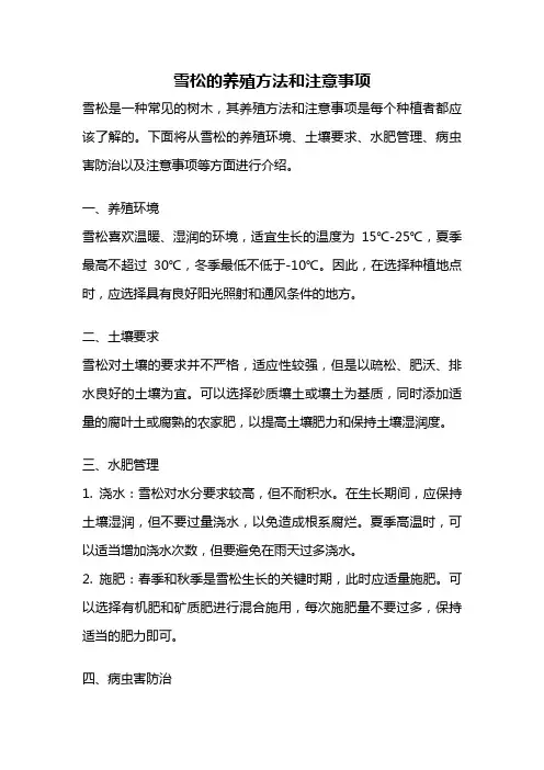 雪松的养殖方法和注意事项
