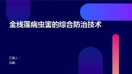 金线莲病虫害的综合防治技术
