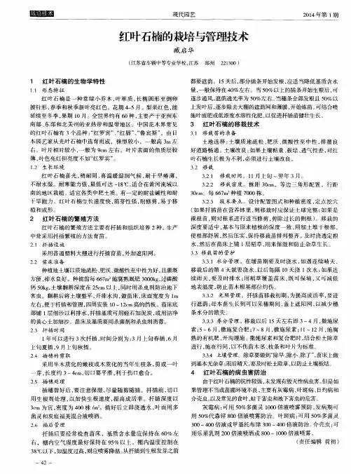 红叶石楠的栽培与管理技术