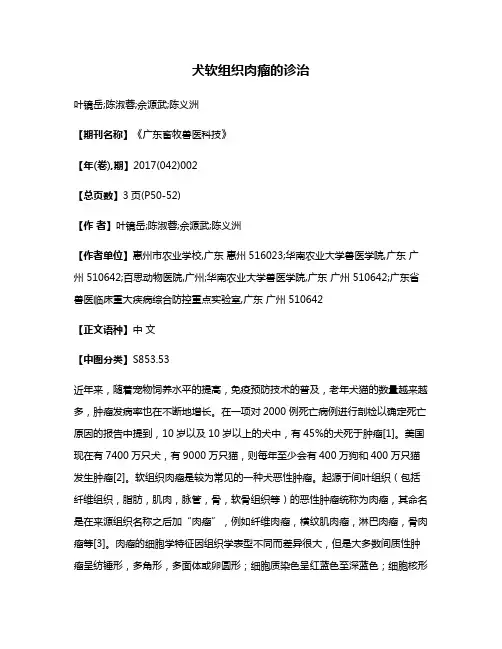 犬软组织肉瘤的诊治