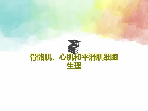 骨骼肌、心肌和平滑肌细胞生理53页PPT
