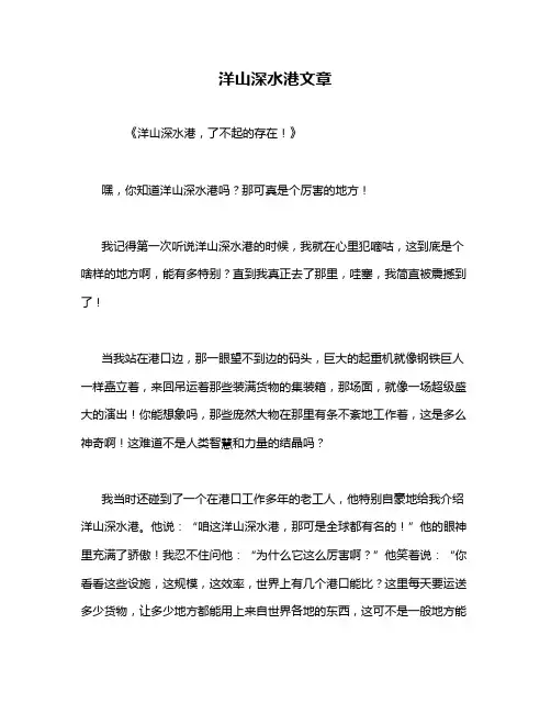 洋山深水港文章