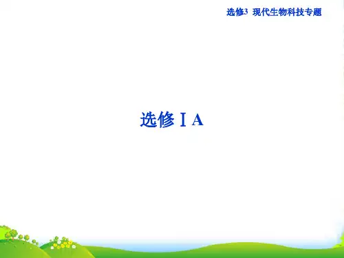 高考生物二轮专题突破总复习 第33讲 基因工程课件 新人教选修3