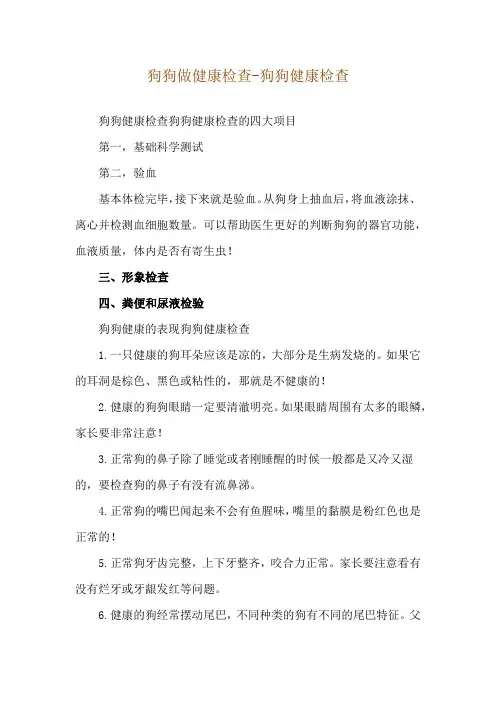 狗狗做健康检查-狗狗健康检查