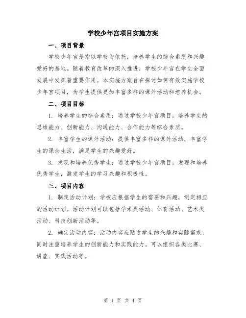 学校少年宫项目实施方案