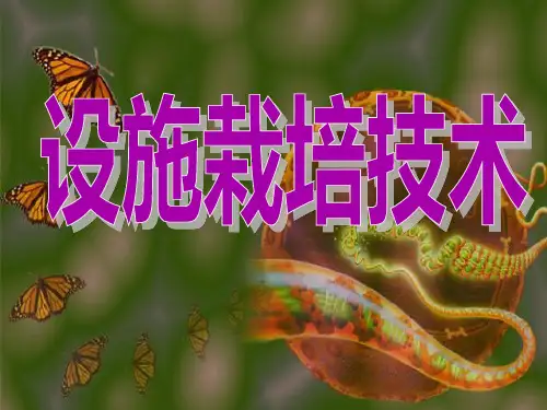 设施栽培技术ppt课件