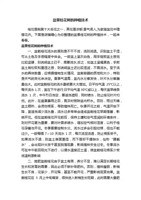 盆景桂花树的种植技术