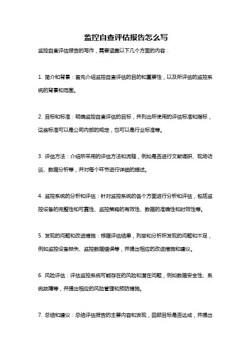监控自查评估报告怎么写