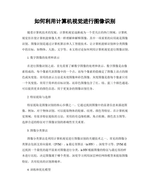 如何利用计算机视觉进行图像识别