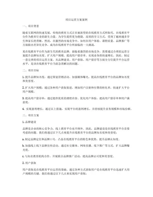 项目运营方案案例