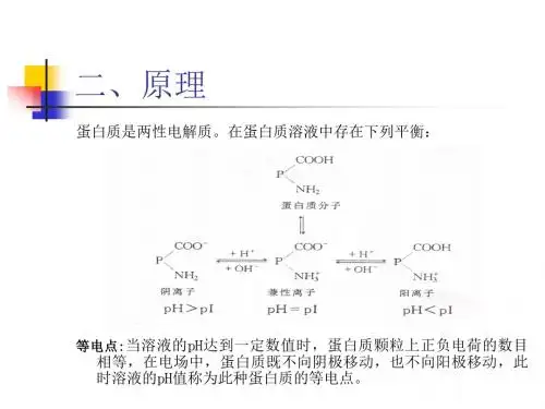 实验一 蛋白质的等电点测定和沉淀反应