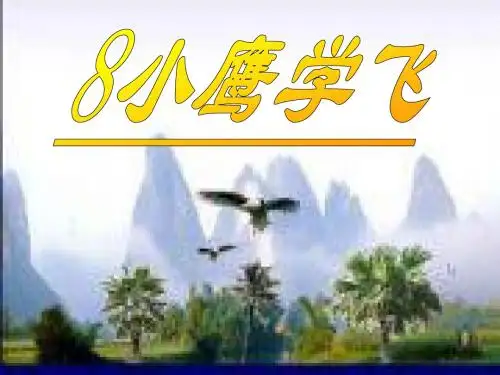 《课小鹰学飞精华》PPT课件