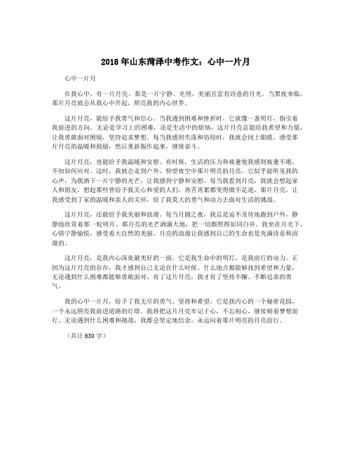 2018年山东菏泽中考作文：心中一片月