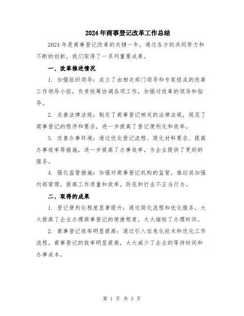 2024年商事登记改革工作总结