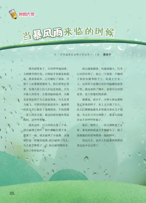 当暴风雨来临的时候